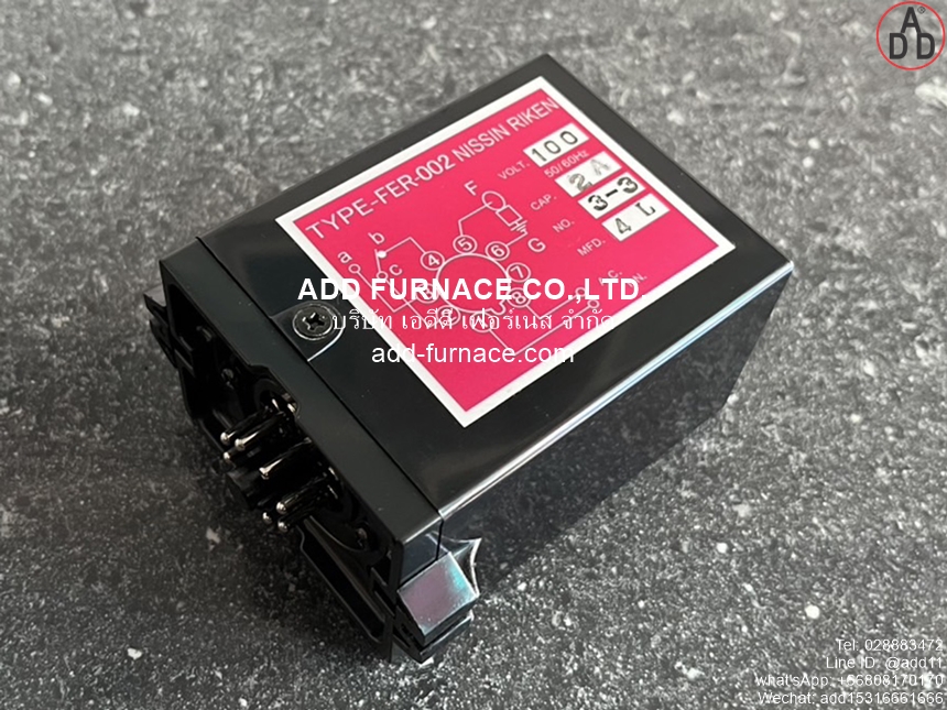 Flame Relay TYPE-FER-002 AC100V (3)
